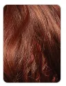 RED CARPET - RCTD213 - BREILA HD LACE FRONT GLUELESS WIG